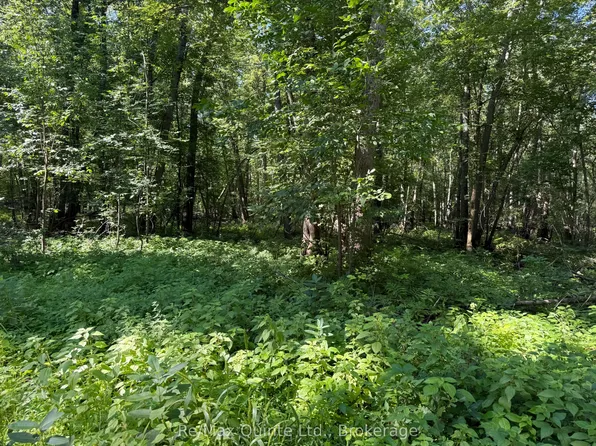 0 Trillium Ln, Tweed, ON K0K 3J0