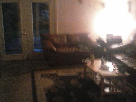 4th image of 319 Woodham Ct