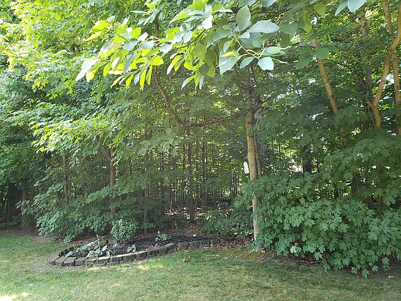 You will own wooded area