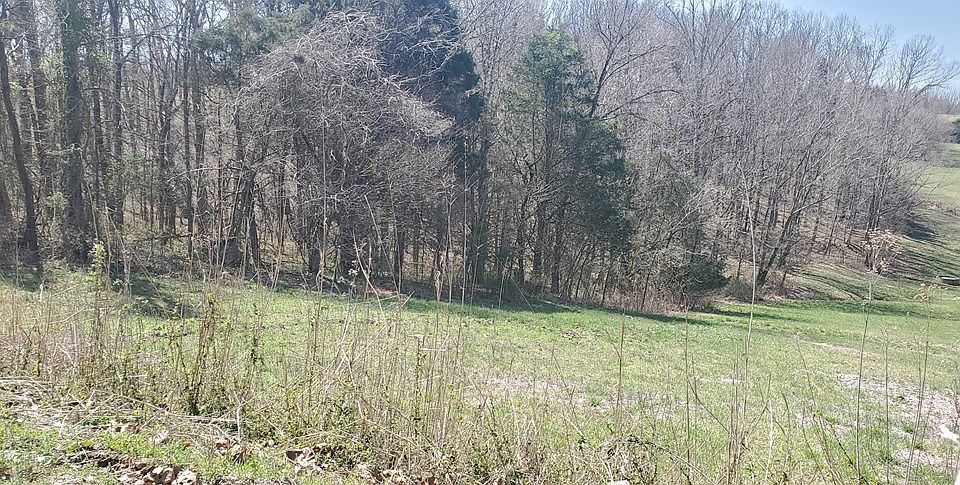 2nd image of 2TRACT Gillock Rd