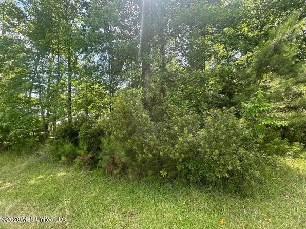 0 Pine Tree Rd, Pachuta, MS 39347