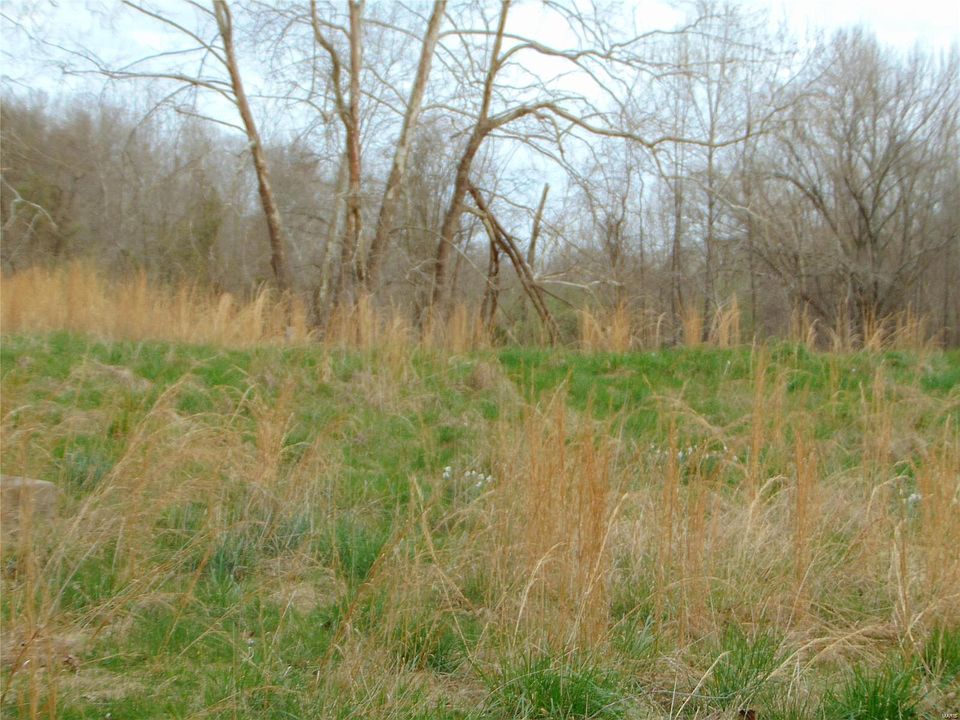 146 Spivey Rd, Herod, IL 62947 Zillow