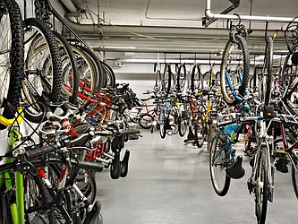 Rented by Peter Ashe