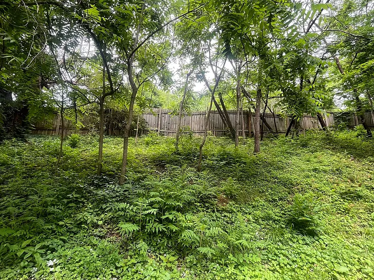 209 Cemetary Ln — Photo 10