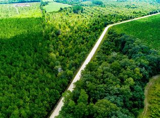 0 Holland Cemetery Rd, Surrency, GA 31563