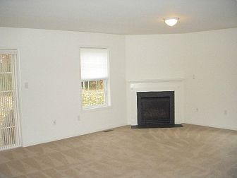 Gas Fireplace in the Living Room