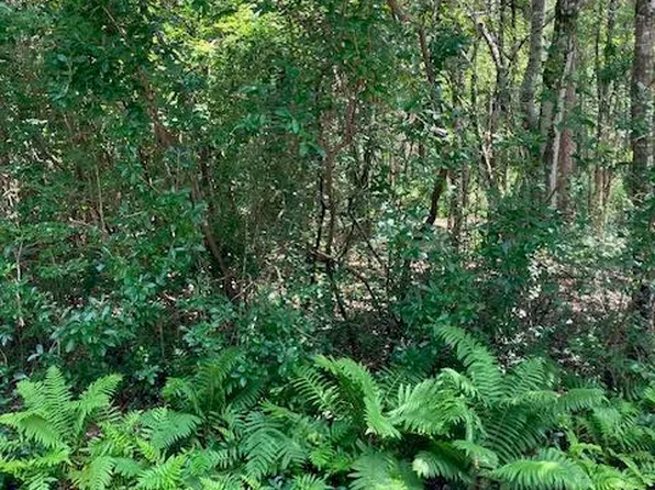 No Cullens St Lot 1, Biloxi, MS 39532