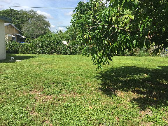 Huge back yard, 2 Mango trees.