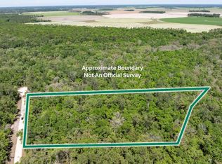 0 151st Dr PARCEL 20, O'Brien, FL 32071