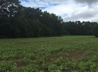 0 Clyde Pearce Rd, Zebulon, NC 27597