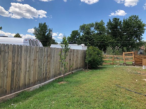 Backyard with new fruit trees including grafted 4 apple types tree, cherry tree, pluerry tree, pluot tree, a bunch of aspen trees, oak tree, and Colorado blue spruce tree.