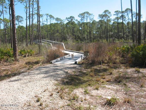 5th image of 6313 Turkey Cove Ln