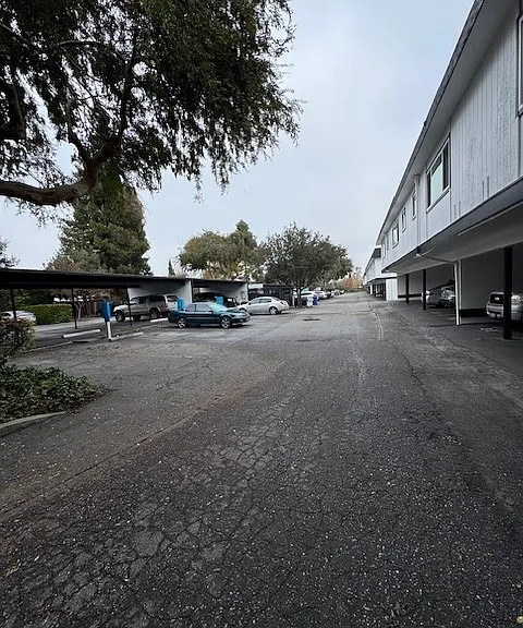 Silicon Valley Apartments — Photo 9