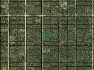 10640 Flikkema Ave, Hastings, FL 32145