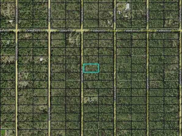 10640 Flikkema Ave, Hastings, FL 32145