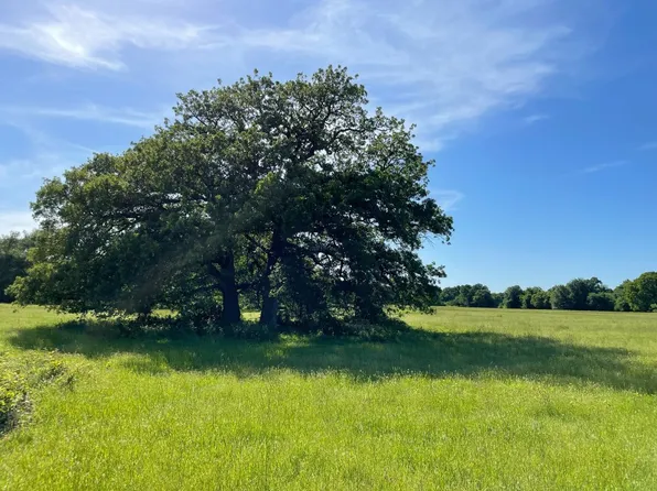 555 Fm 85, Kemp, TX 75143