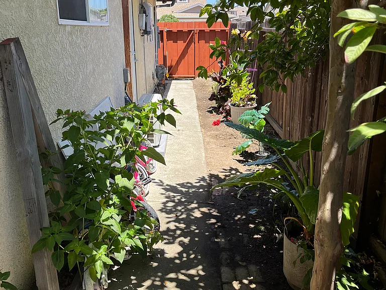 36455 Buckeye St #1 — Photo 4