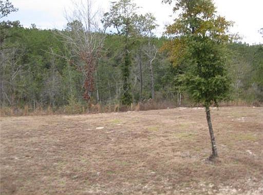 2nd image of Red Creek Rd