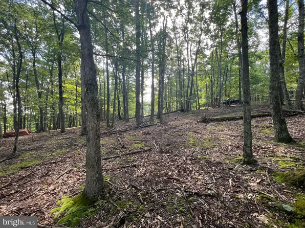 LOT 20 Sleepy Mdws, Augusta, WV 26704