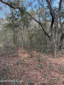102 DAVID Drive, Interlachen, FL, 32148