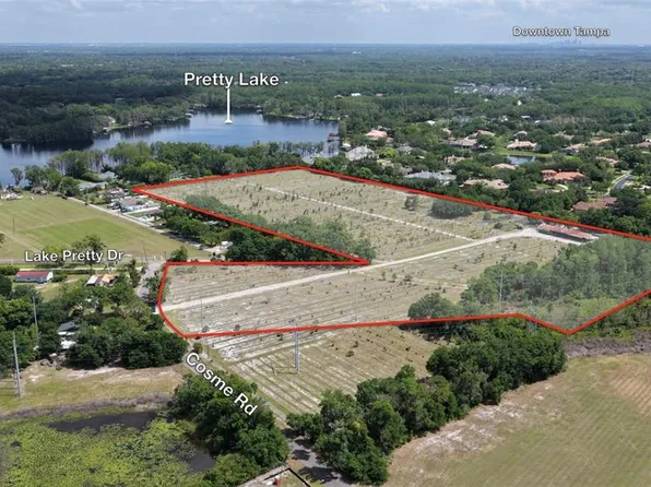 8028 Cosme Rd, Odessa, FL 33556