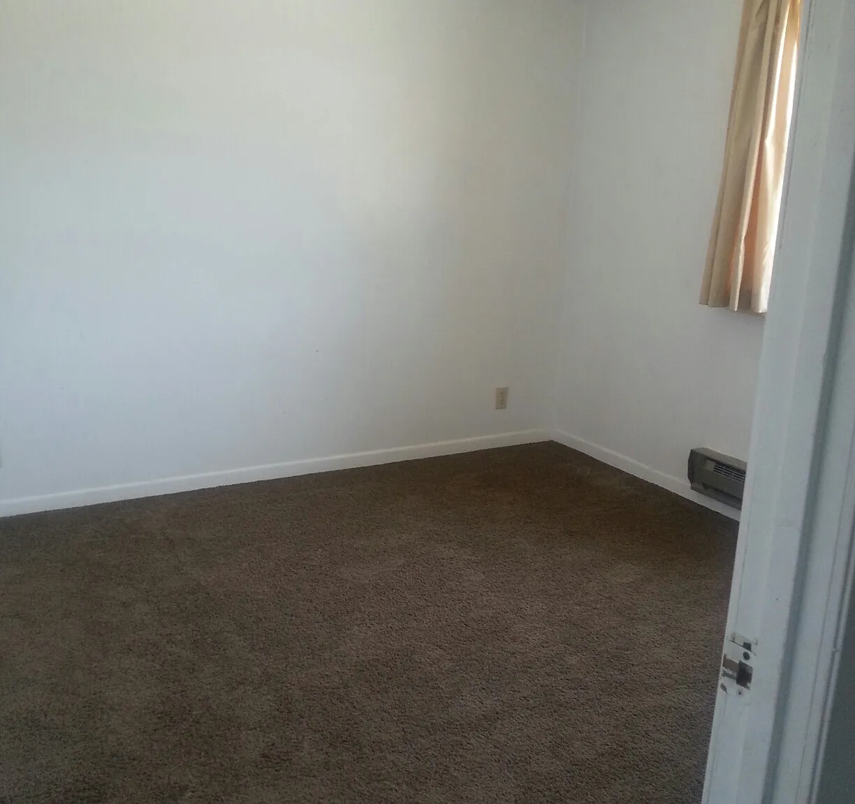 York Street Apartments - 204 — Photo 4