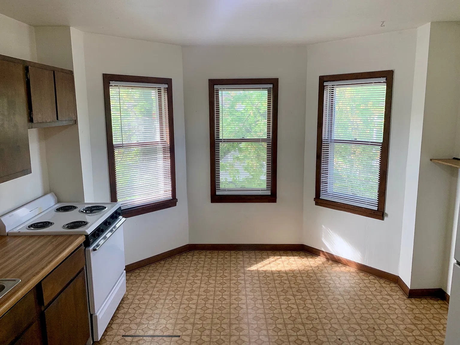 1 bed, $750 — Photo 2