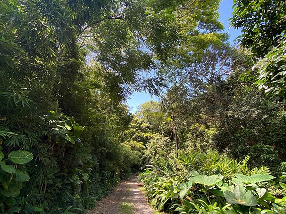 The drive is safe for all cars to drive and is maintained by local property manager.