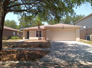 13721 Fareham Rd, Odessa, FL 33556