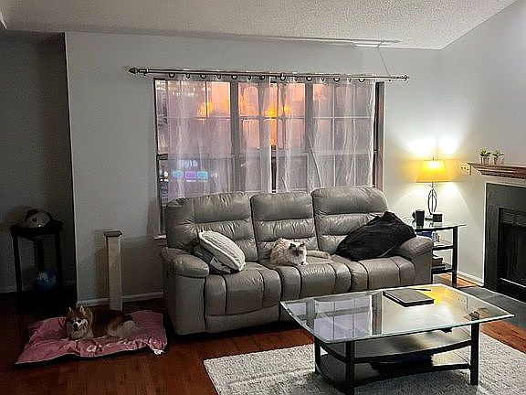 4th image of 4306 Beasley Ct