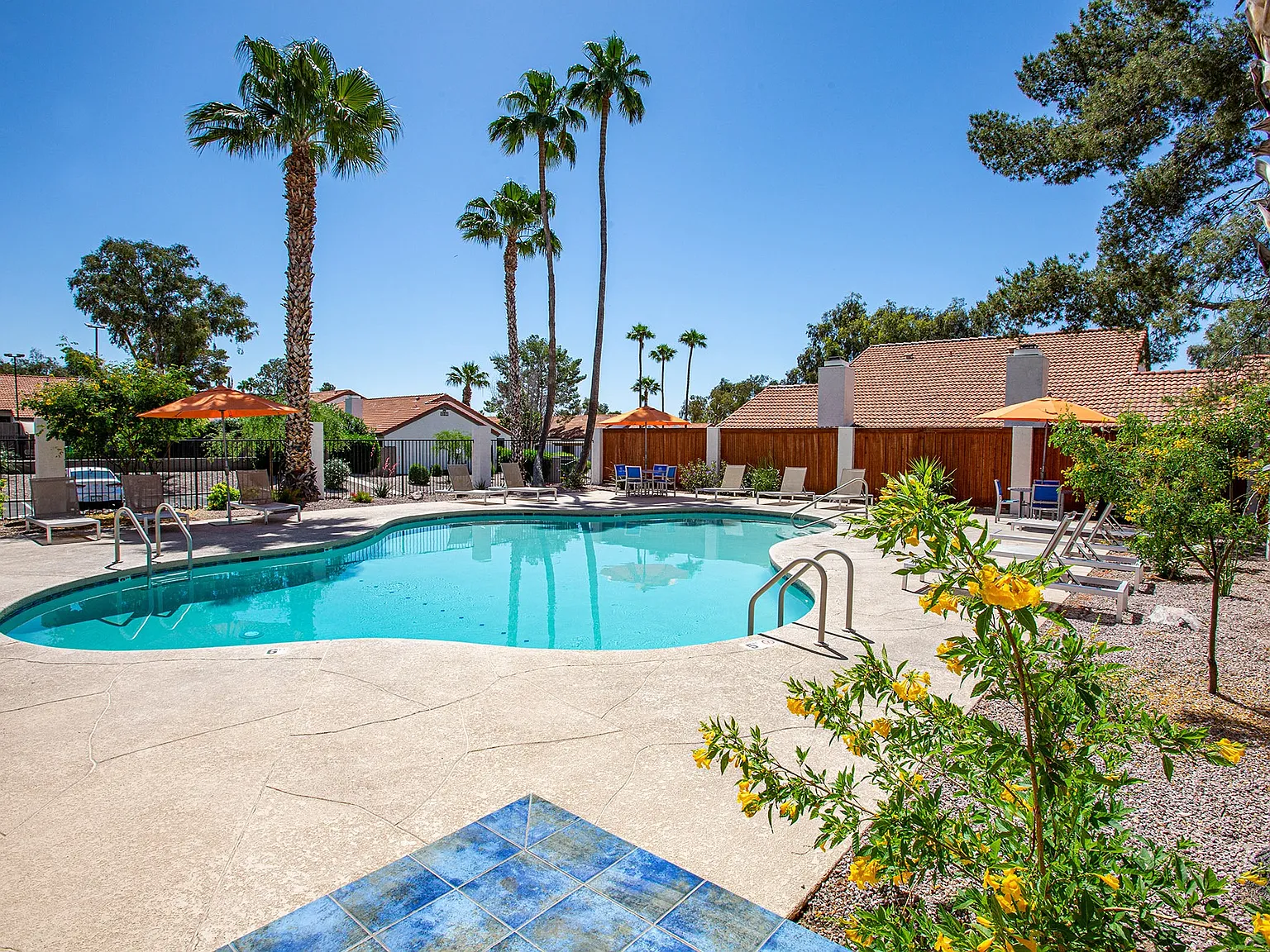 Orange Tree Village — Photo 3