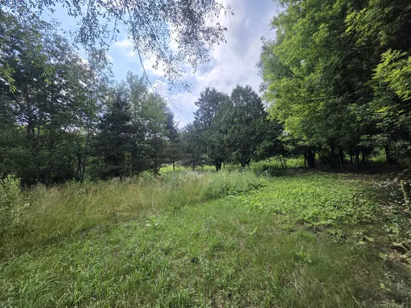 306 E Condensery Rd, Sheridan, MI 48884