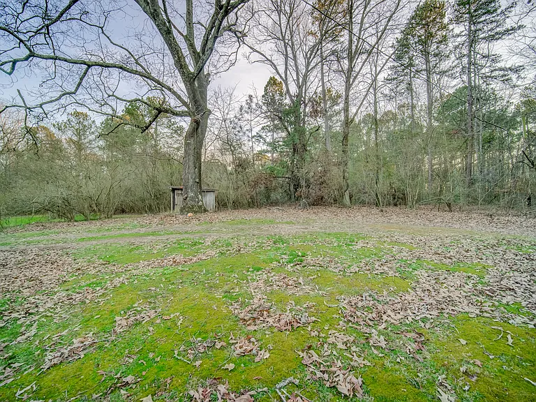 1290 Reavis Mountain Rd — Photo 29