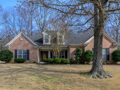 4338 Dalton Downs Dr, Memphis, TN, 38135