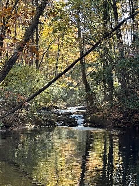 1st image of LOT 11 Clear Creek Preserve Way