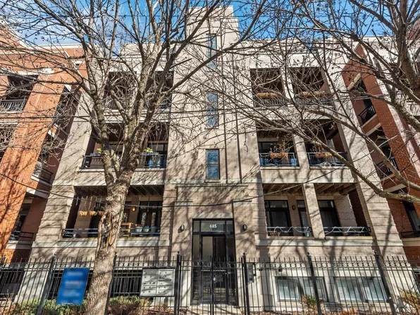 685 N Peoria St APT 3S, Chicago, IL 60642