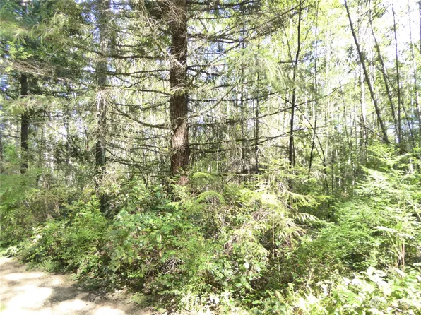 1 Bunny Run Lane, Quilcene, WA 98376