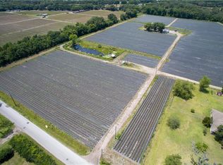 2516 McIntosh Rd, Dover, FL 33527