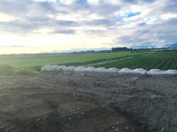 4179 176th St, Surrey, BC V3Z 1C3