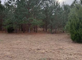 Lee Ln, Bennettsville, SC 29512