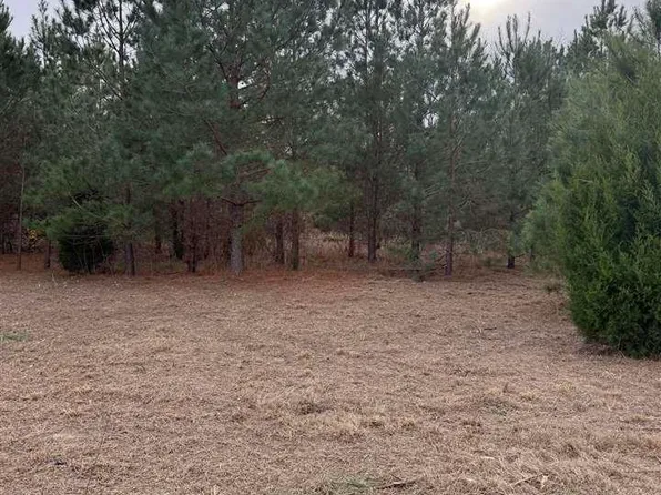 Lee Ln, Bennettsville, SC 29512