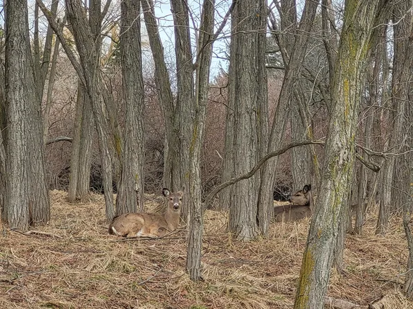 0 12th St, Manistee, MI 49660