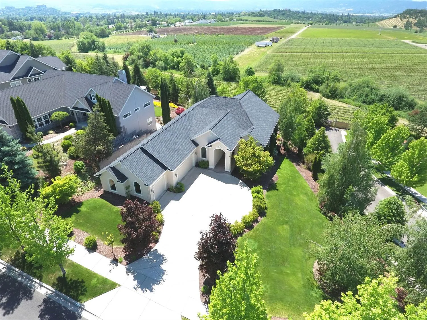 3849 Annettes Way photo 1
