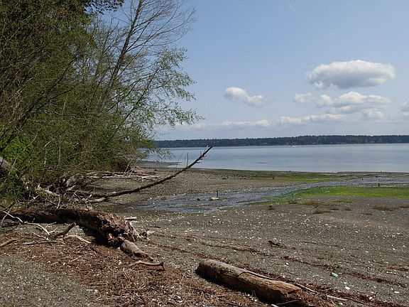 Community Beach with Tideland Rights!!
