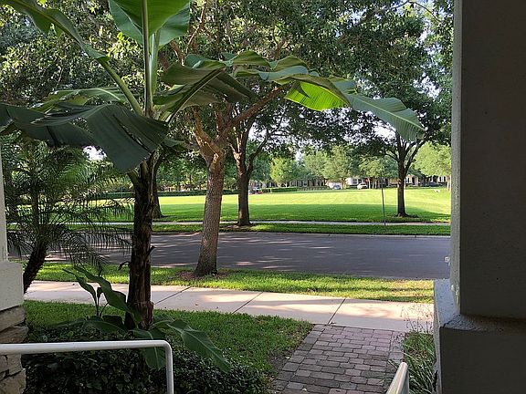 Park view from front porch