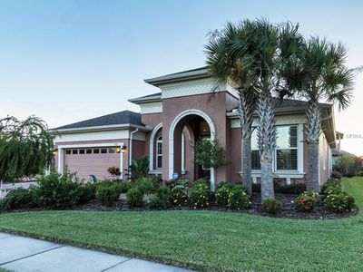 7021 Hatpin Loop, Wesley Chapel, FL, 33545