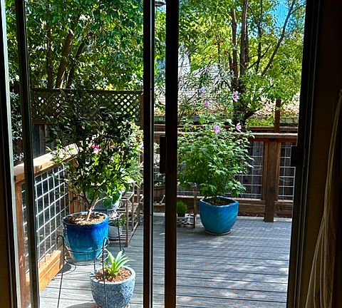 4th image of 1144 Edwards St #D