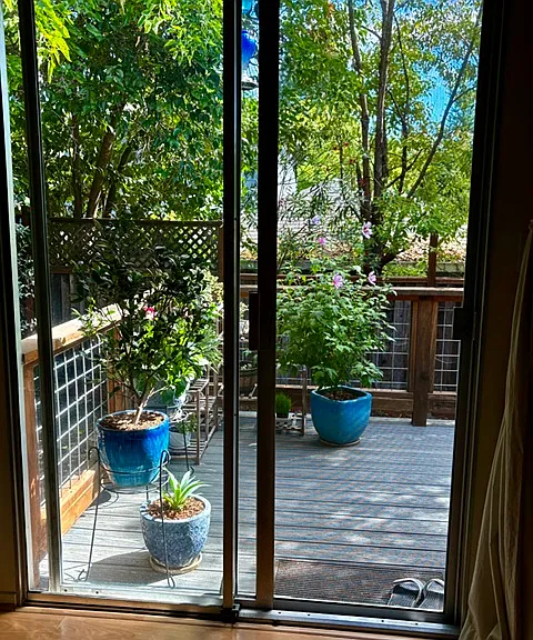 1144 Edwards St #D — Photo 4