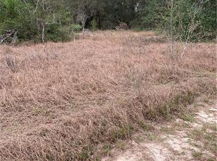 10680 SE 125th St, Belleview, FL 34420