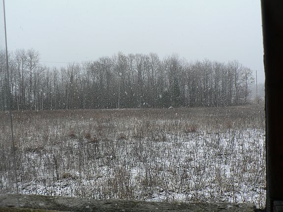 looking to east toward creek
